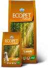 Ecopet Natural LAMB STANDARD 2x12 KG